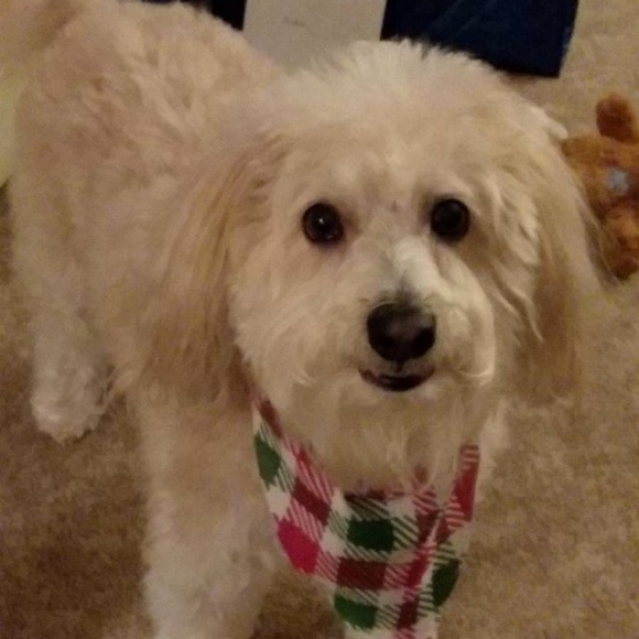 Meet your Posher, V - Picture 4 of 6